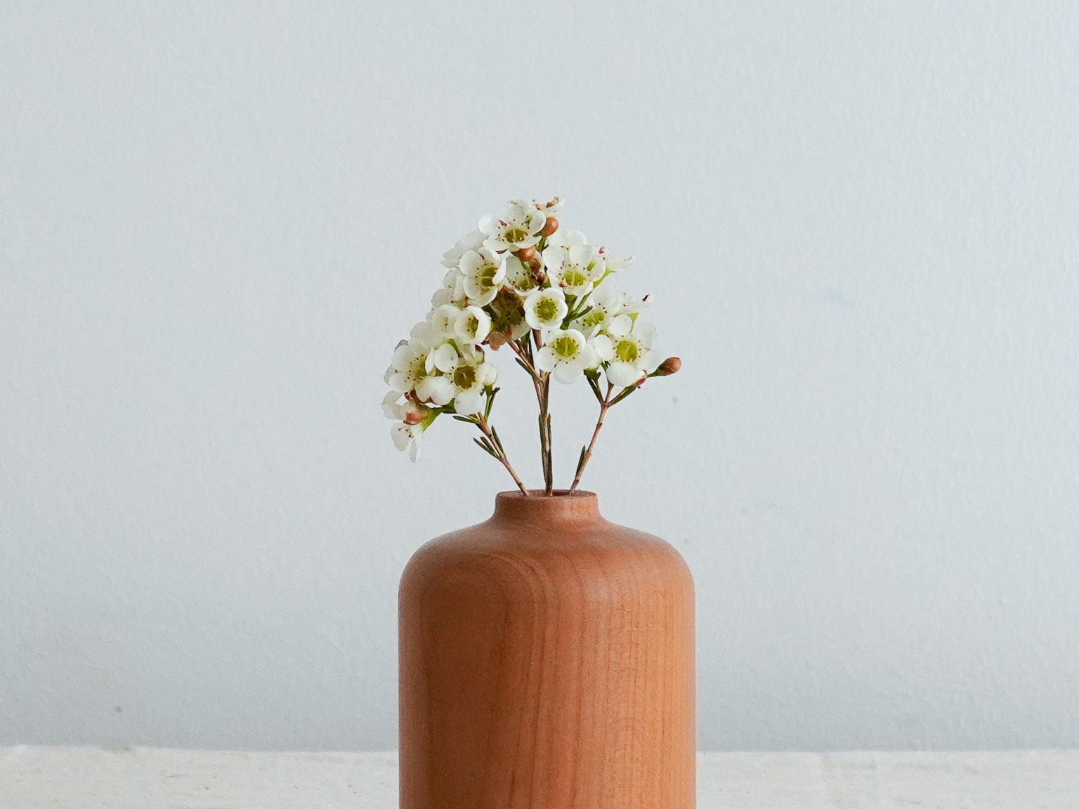 Melanie Abrantes Straight Bud Vase