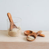 Redecker  Olive Wood Sugar Spoon