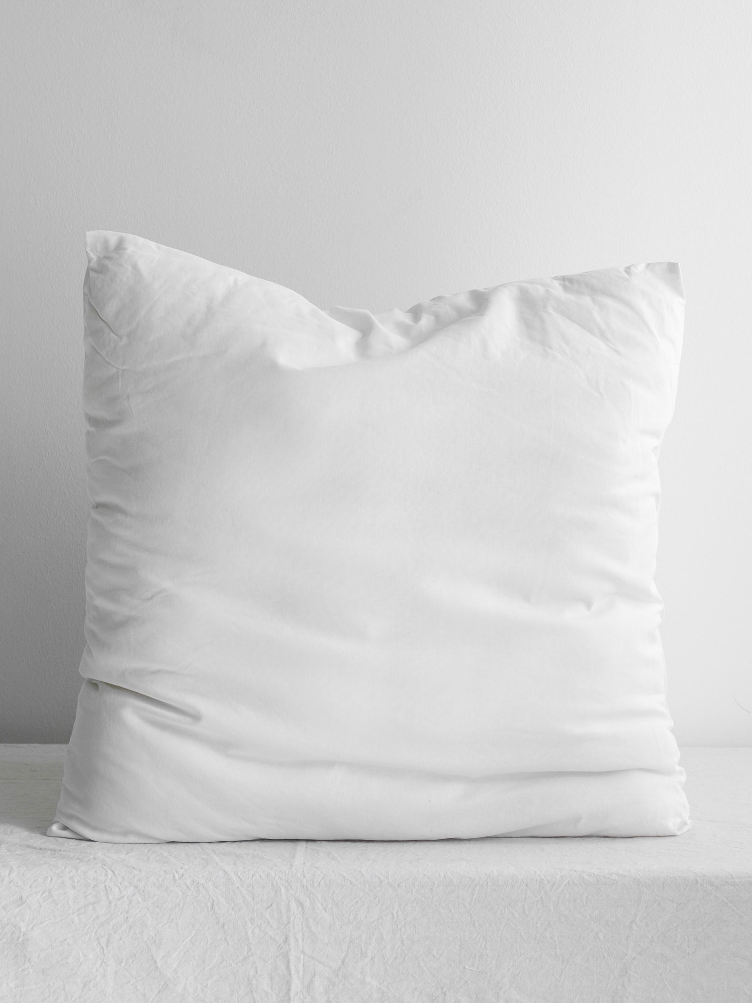 Oversized Cushion Insert Collection by Plain Vanilla