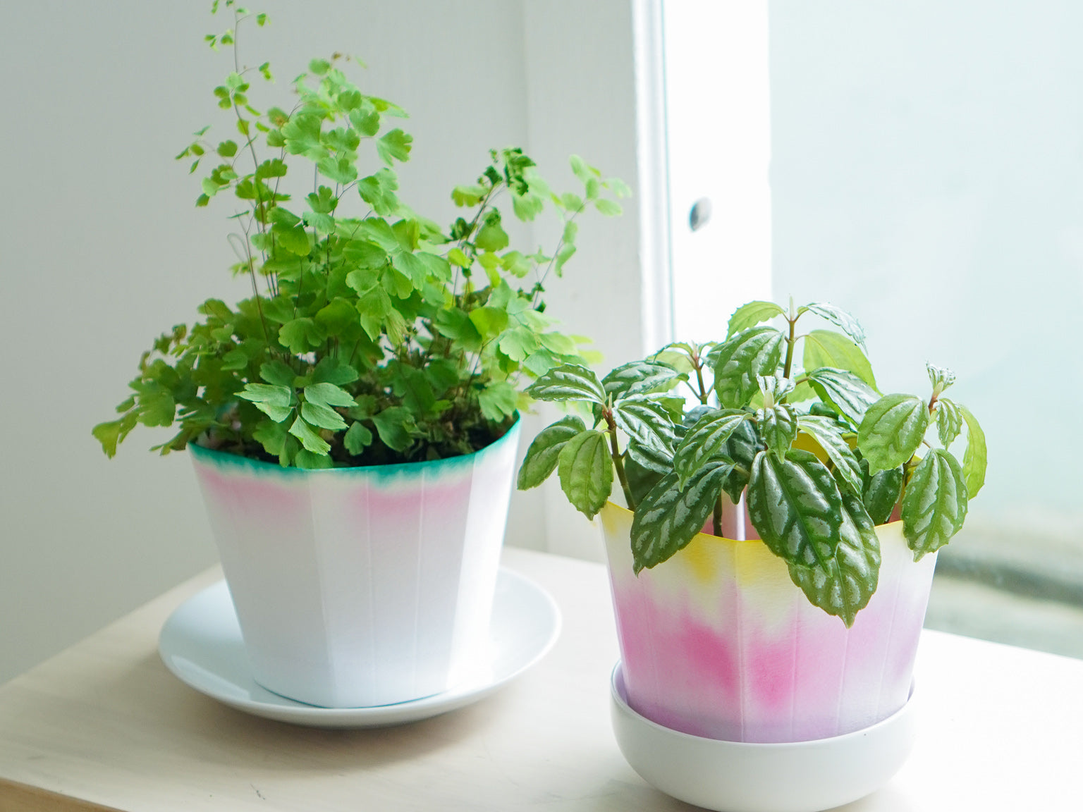 Super Paper Market Colour Changing Paper Pot Cover