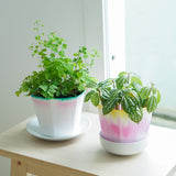 Super Paper Market Colour Changing Paper Pot Cover