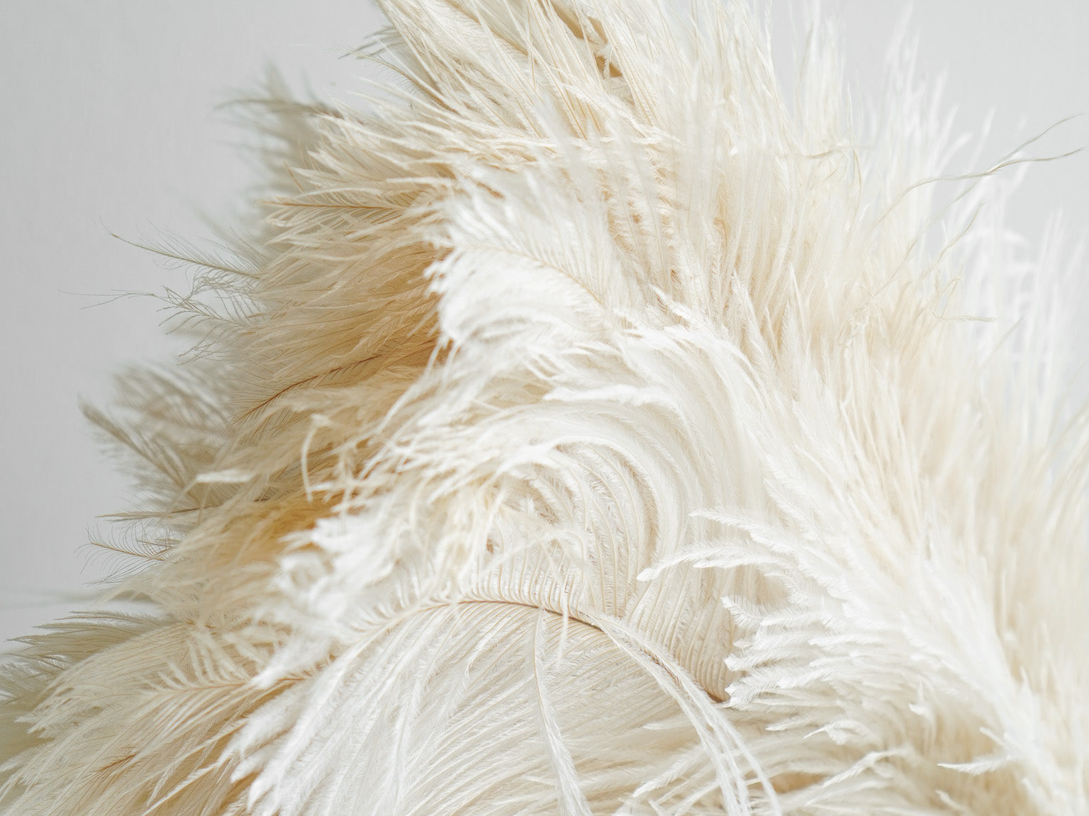 Redecker Ostrich Feather Duster