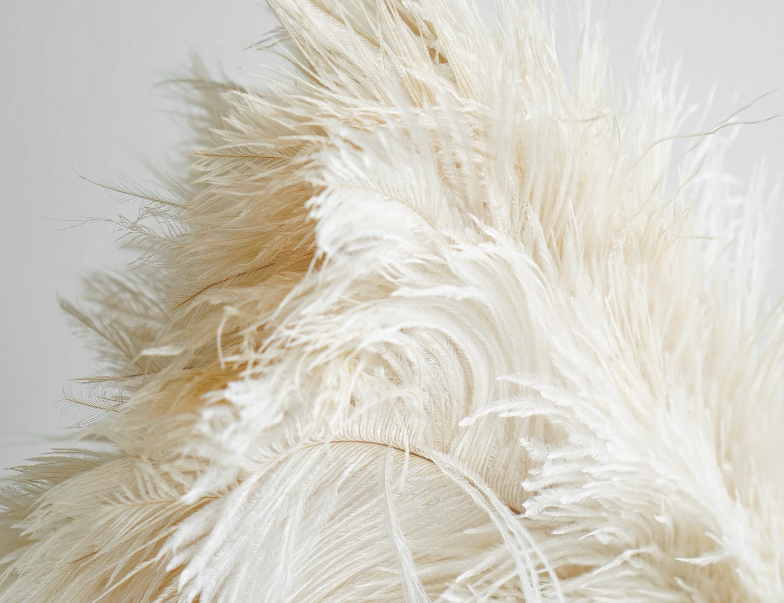 Redecker Ostrich Feather Duster