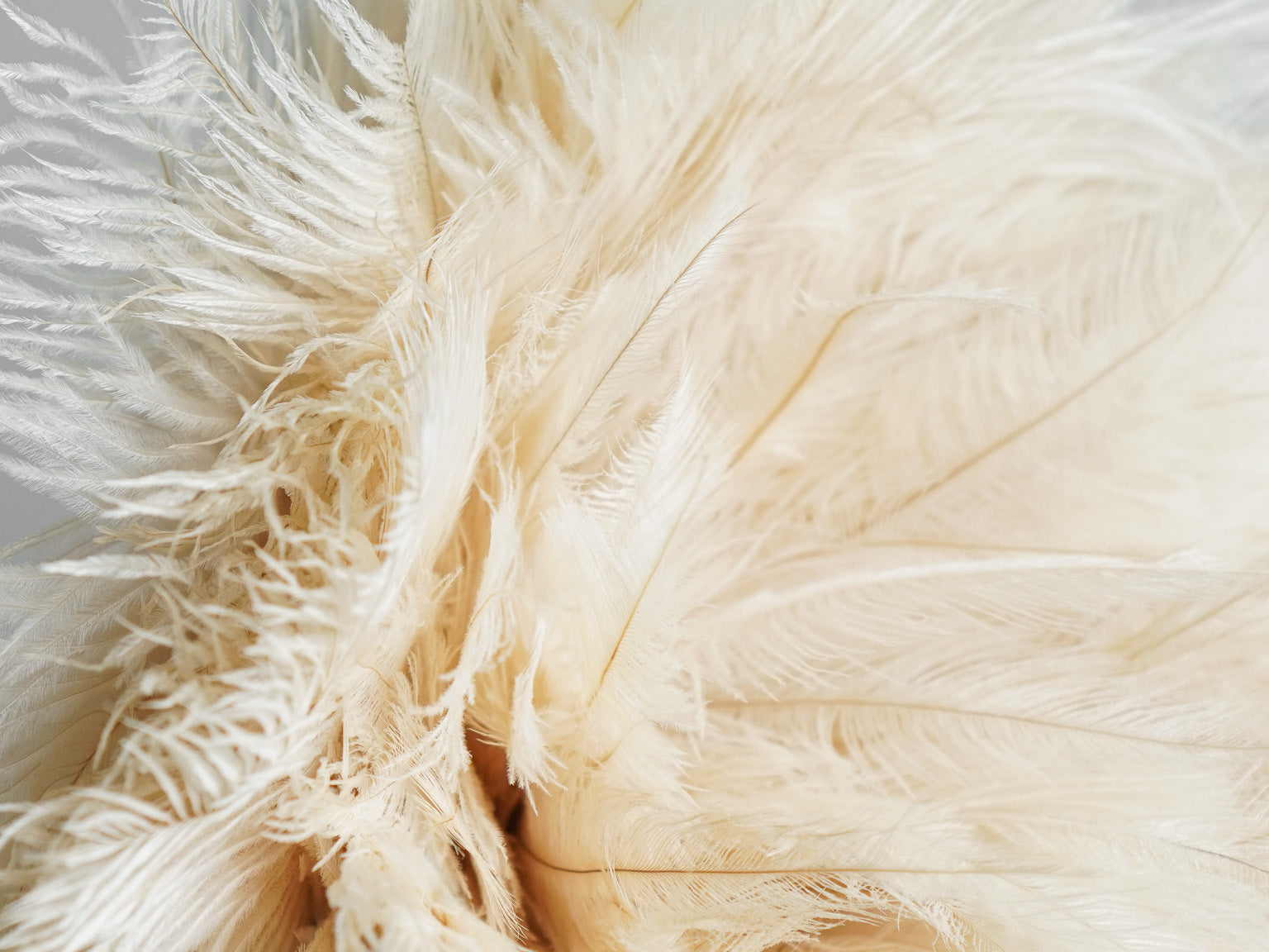 Redecker Ostrich Feather Duster