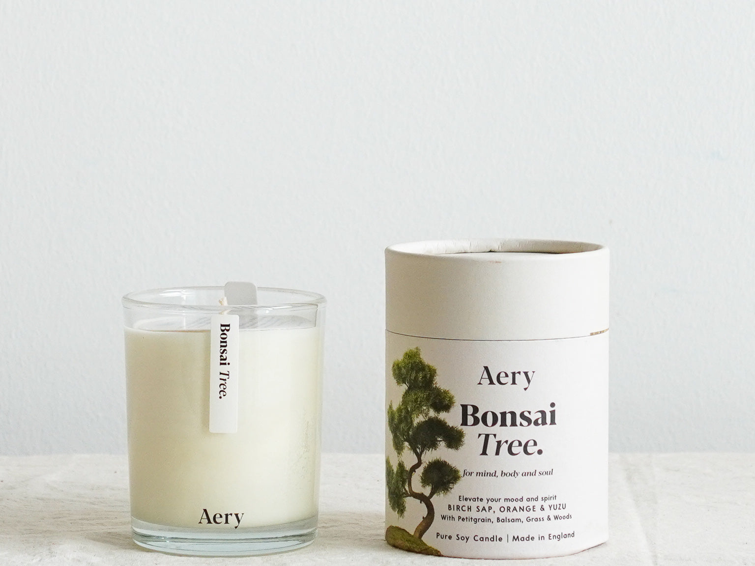 Candle Bonsai Tree Collection by Plain Vanilla